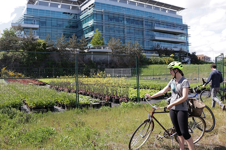 12085388_web1_VNE-UrbanAgroBikeTours