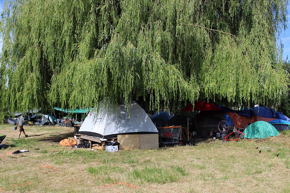 12755191_web1_camp_under_tree