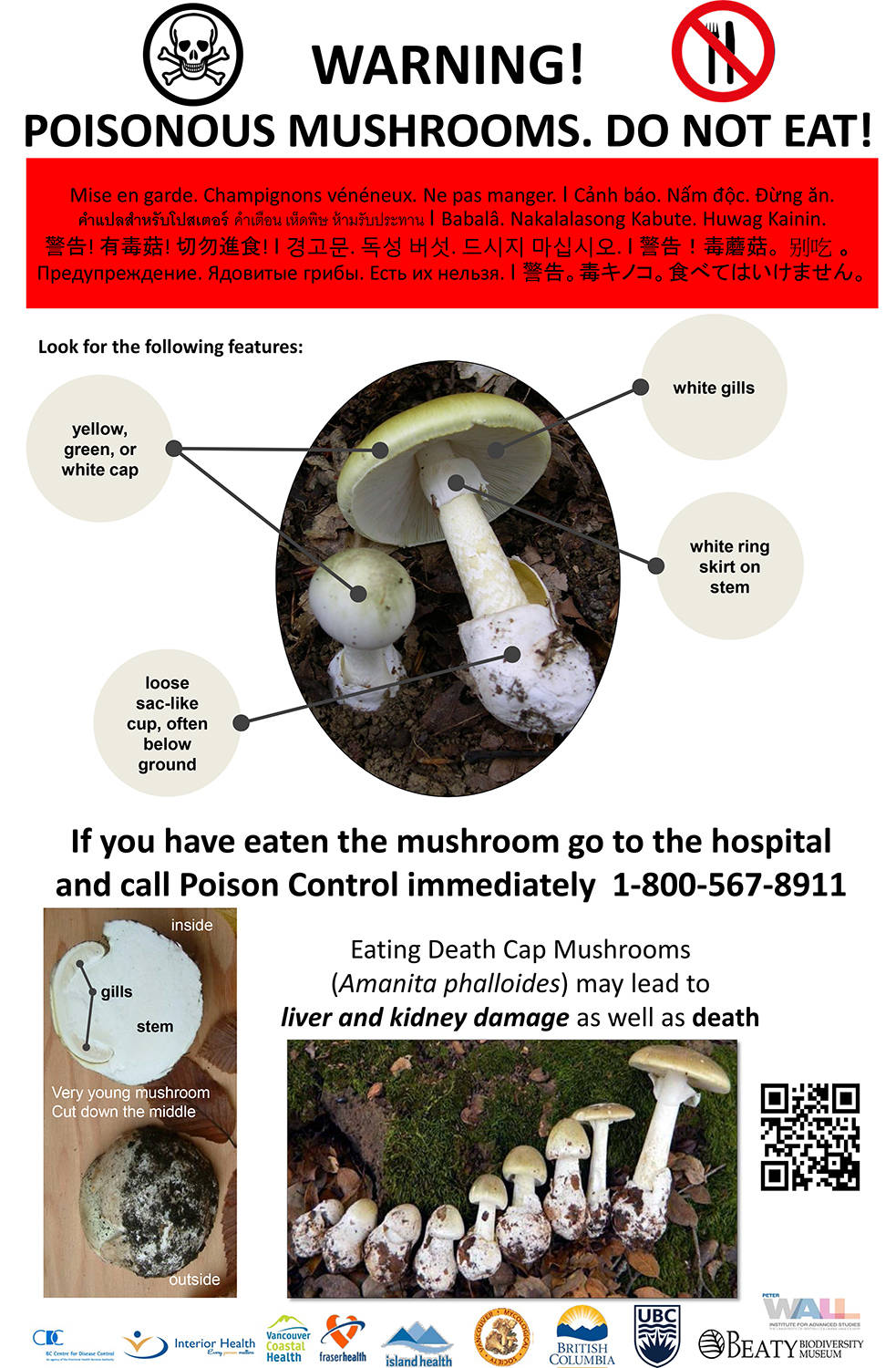 13882564_web1_Death-Cap-mushroom-caution-poster---Mar-2018