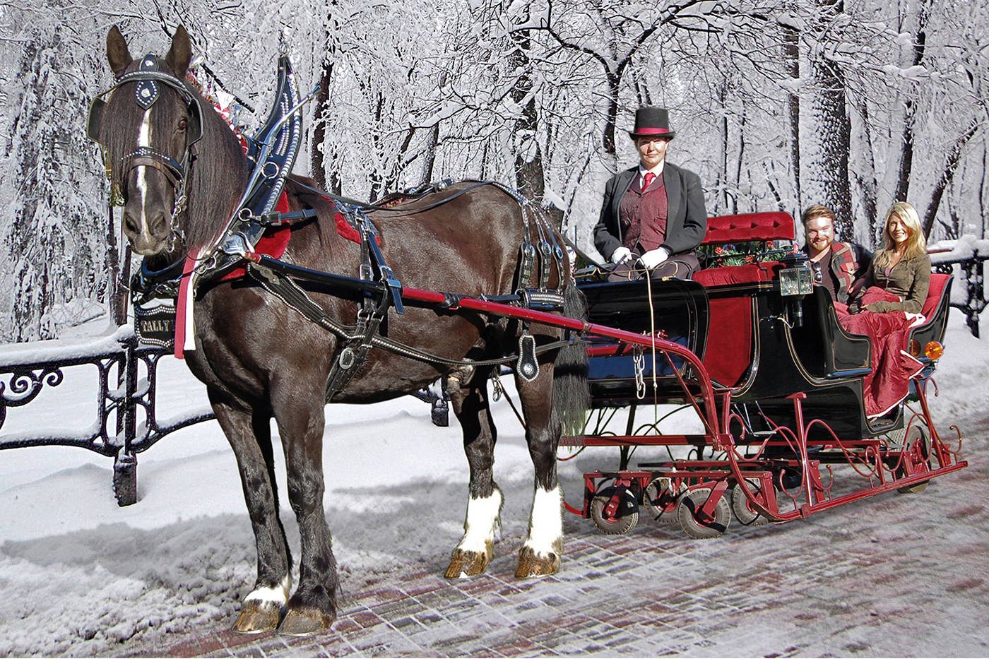 Tally ho hot sale carriage tours