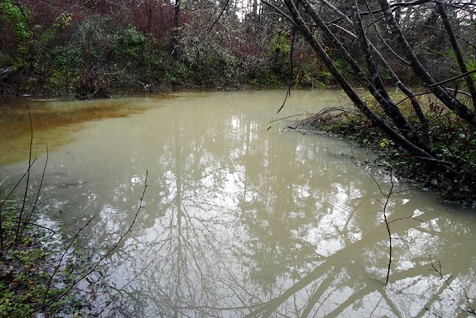 14797402_web1_copy_ColquitzRiverContamination