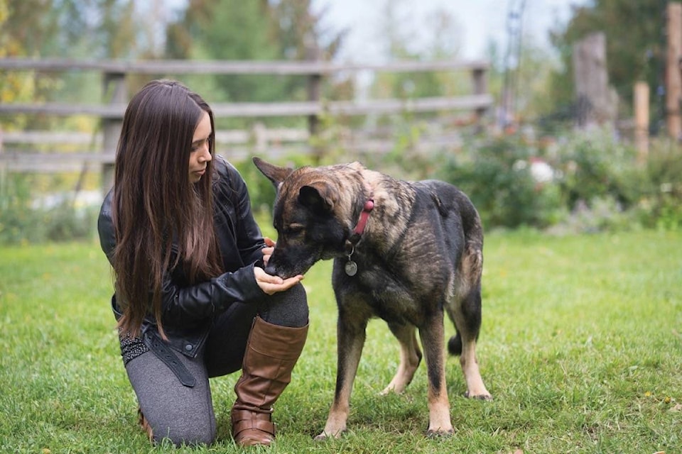 15267795_web1_190124-BPD-M-woman-giving-treat-to-shepherd-dog