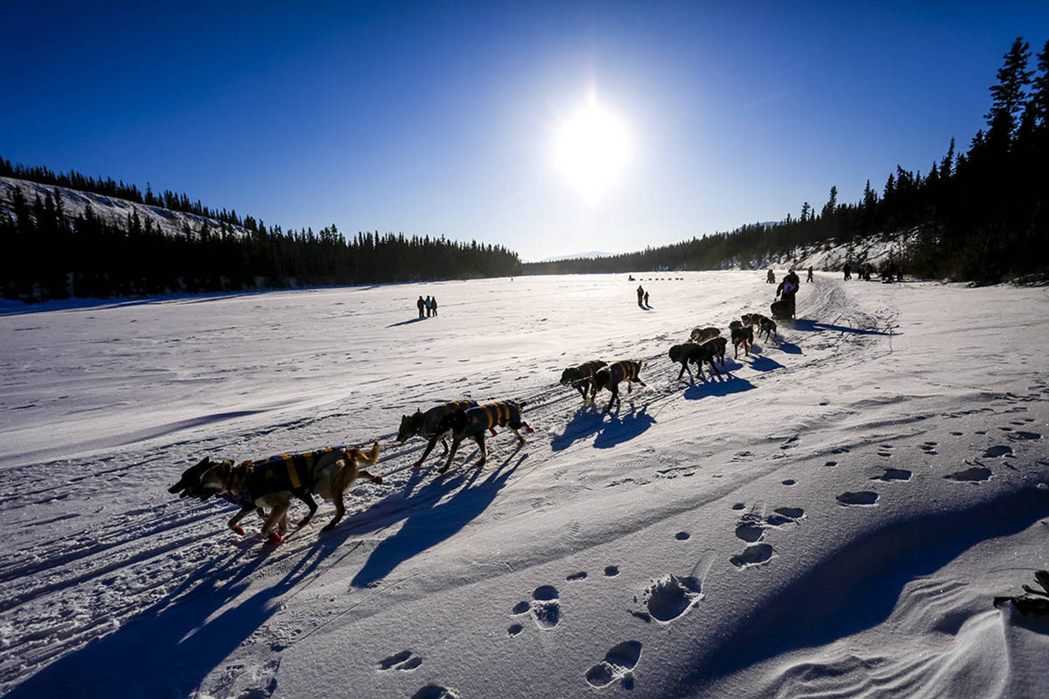 Mushing gear sales