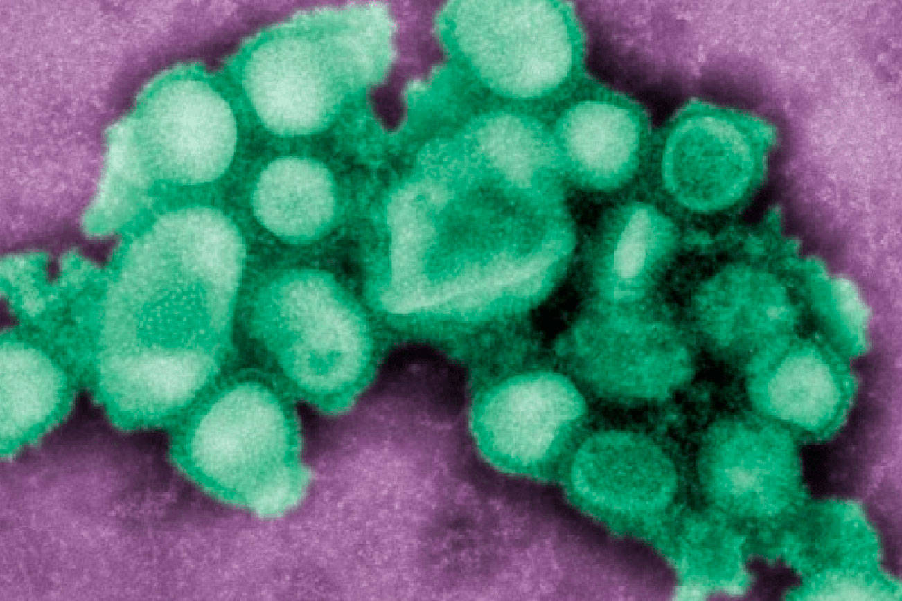 20186141_web1_Flu-Germ-T