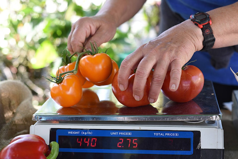 21506483_web1_copy_Goldstream-Farmers--Market-5