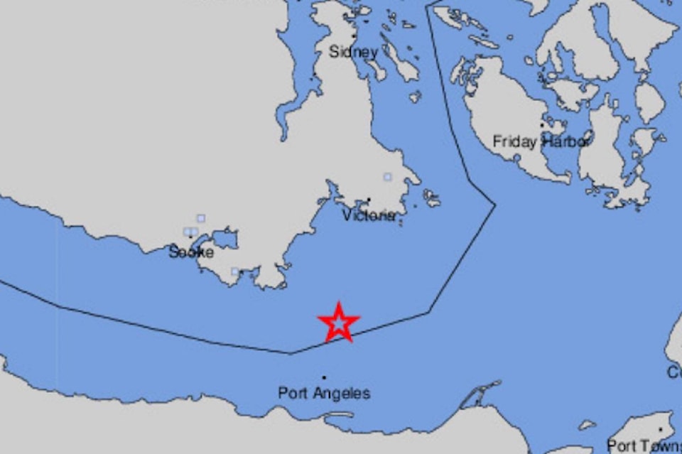 21981196_web1_200628-VNE-MinorEarthquake-earthquake_1