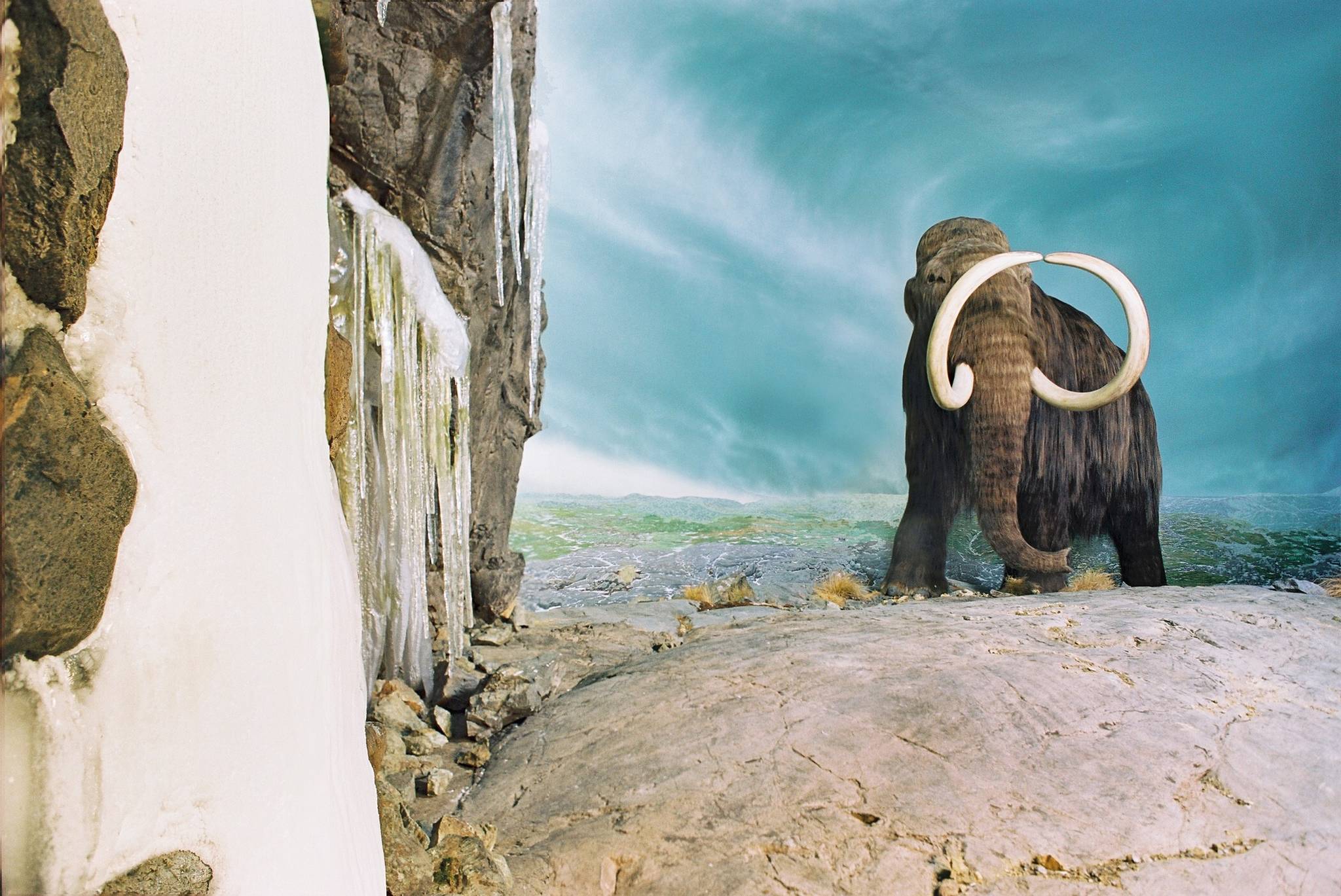 The Royal BC Museum’s Wildlife Photographer of the Year exhibition and Natural History gallery welcomed the museum’s first visitors of summer, followed by the First Peoples gallery. The Becoming BC gallery opens Sept. 7. Photo courtesy the Royal BC Museum.