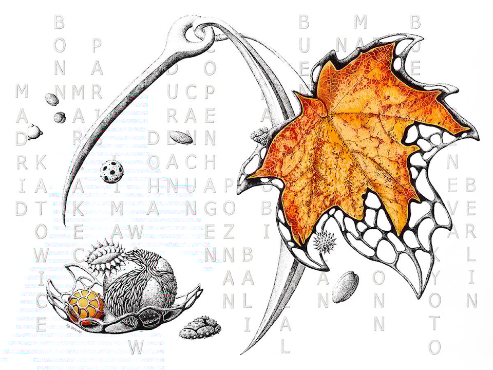 22923461_web1_201006-OBN-PlasticArtWinsContest-_1