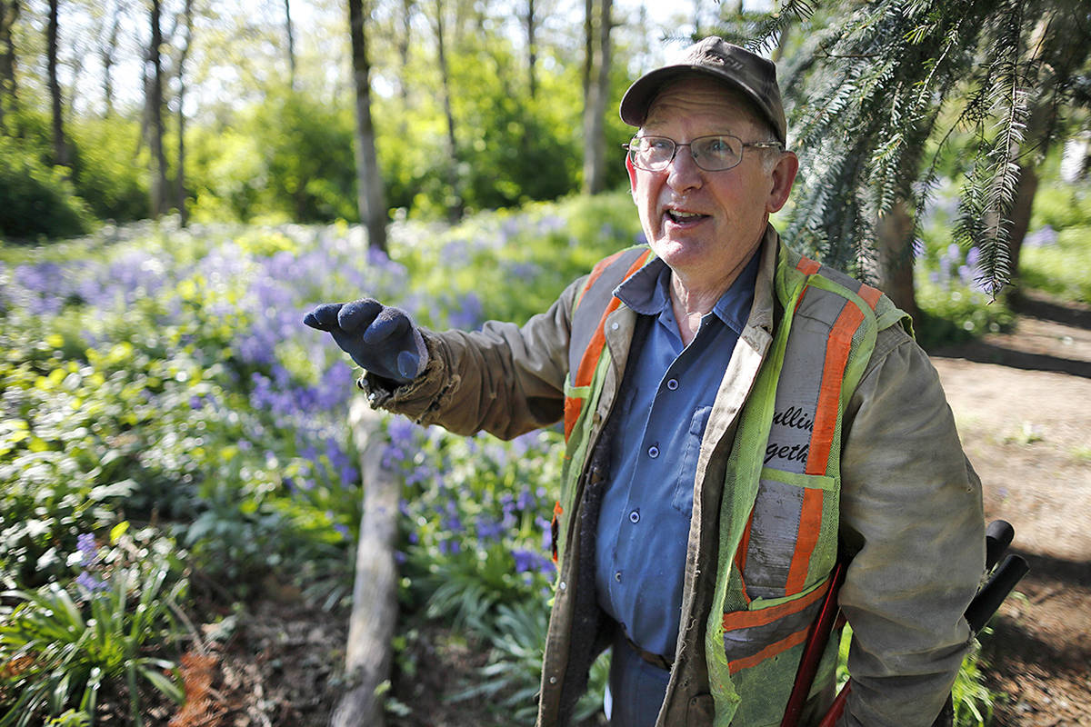 Volunteers in the Pulling Together program help to remove invasive species from Cedar Hill Park.