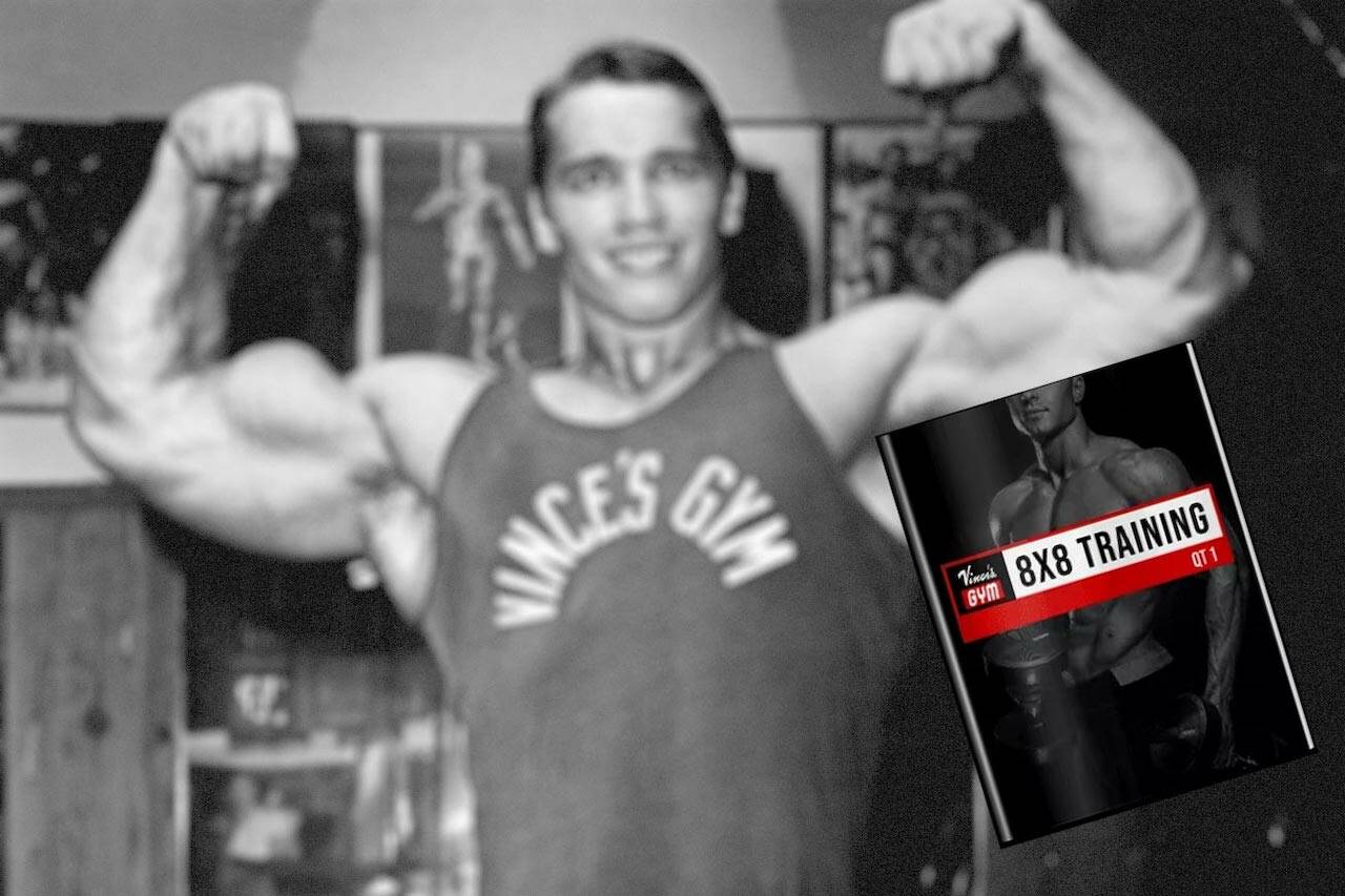 Vince gironda training split deals