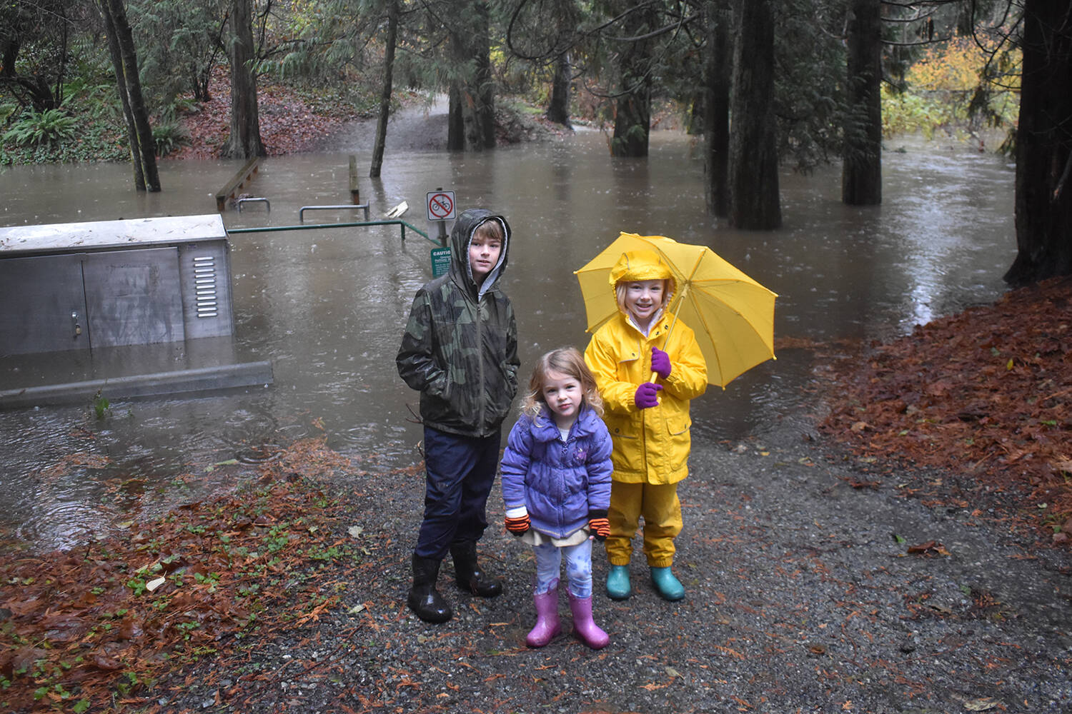 27181217_web1_211115-PNR-FloodingPeninsula-Flooding_1