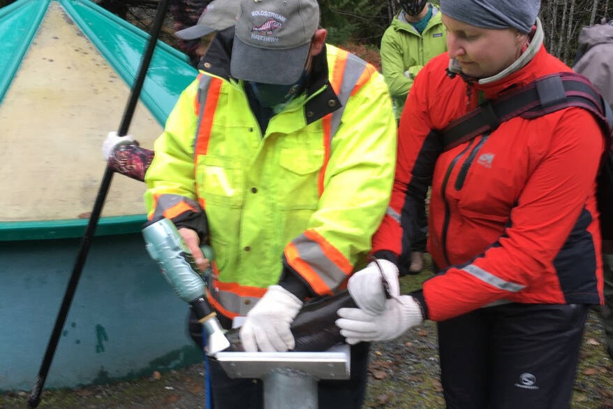 Friends of Bowker Creek Society members visit the Goldstream Hatchery to participate in a chinook salmon egg harvest. (Courtesy Gerald Harris)