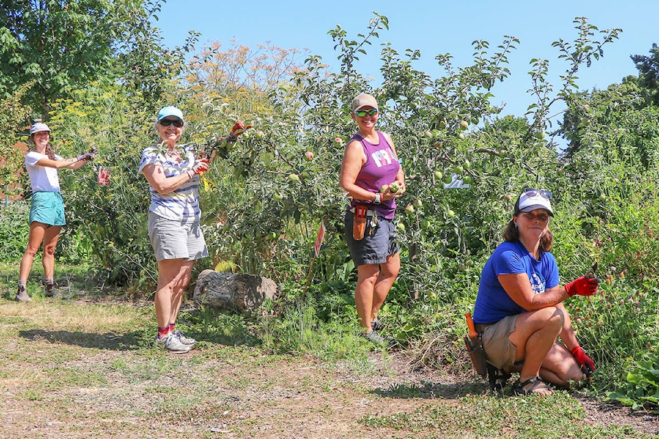 28279114_web1_210923-VNE-CommunityGardenGrants-communityorchard_1