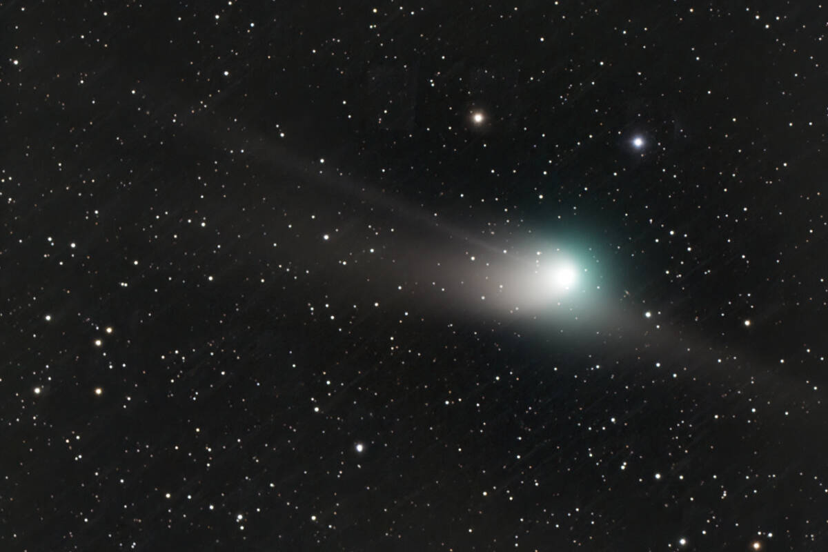 Look up: Rare comet visible to the naked eye – if the clouds