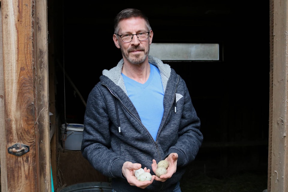 Troy Dignam, a Sooke-based egg farmer, works as a nurse full-time in Victoria. (Bailey Moreton/News Staff)