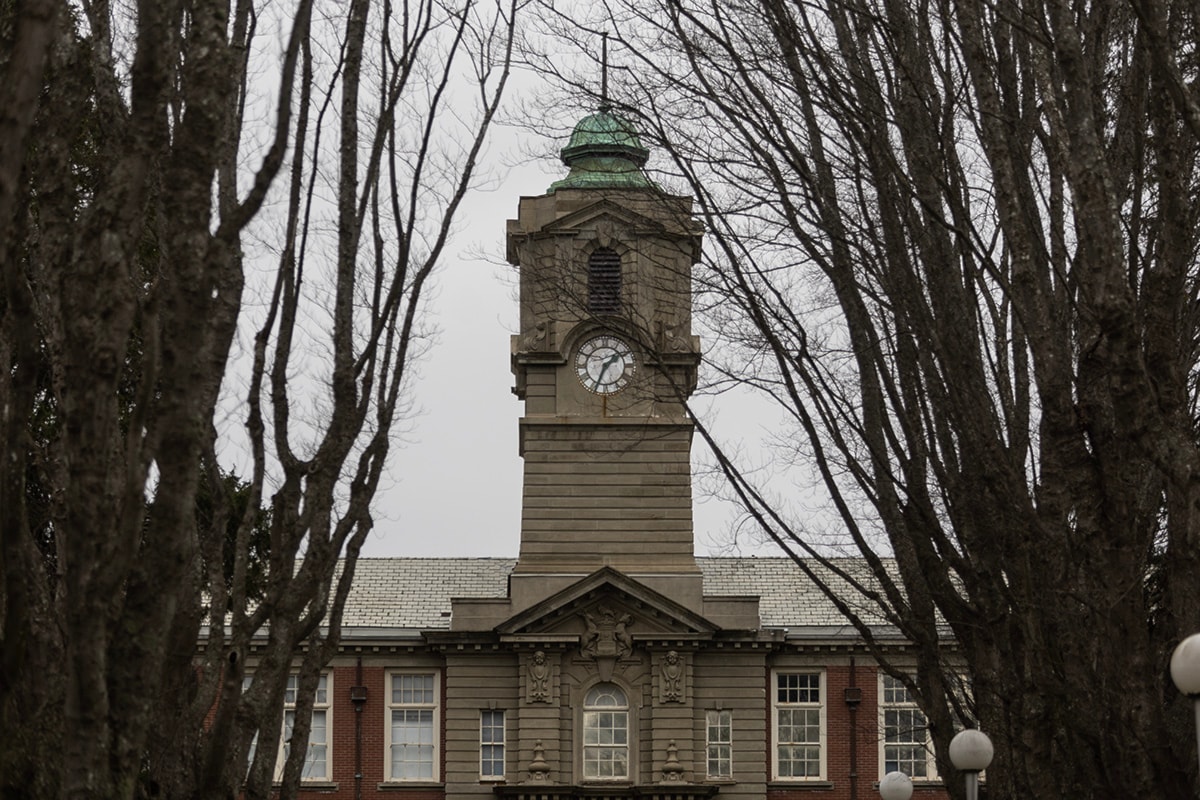 Saanich's Camosun College to recognize 40 educators who made an impact
