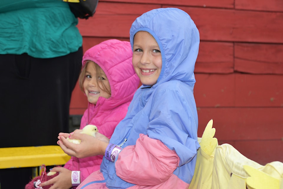 Zoe Hoekstra makes a feathered friend as she snuggles a chicklet at the Poultry in Motion booth the 125th annual Salmon Arm Fair on Saturday, Aug. 24.