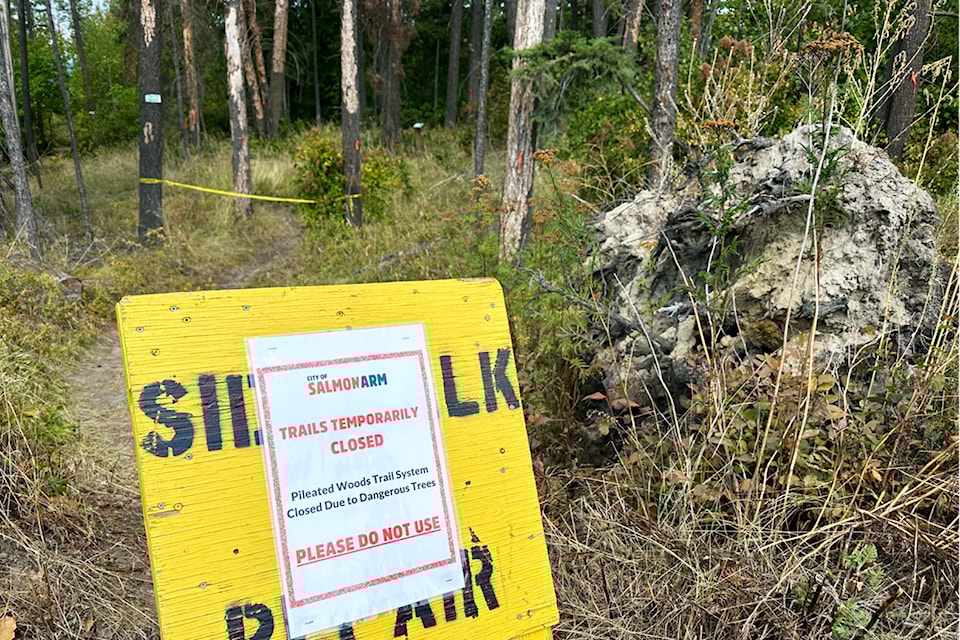 Salmon Arm's Pileated Woods Park trail system was closed to the public on Aug. 16 after a tree hazard inventory identified 178 trees in need of removal. 