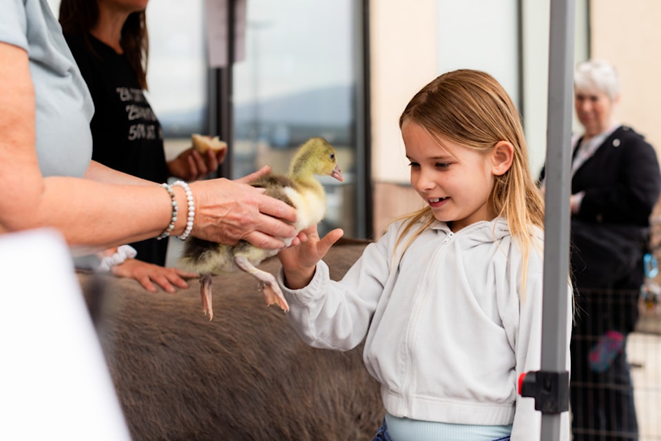 Georgia gently pets Omni the duck during a by-donation petting zoo in support of the  Shuswap Paws Rescue Society on Saturday, June 22, 2024.  