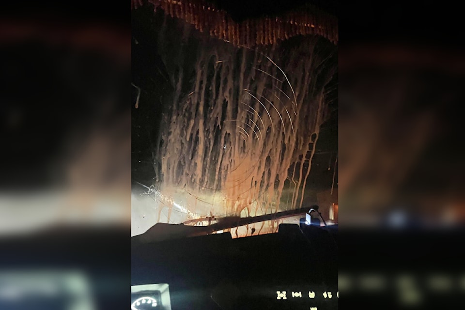 241114-saa-egged-truckers1