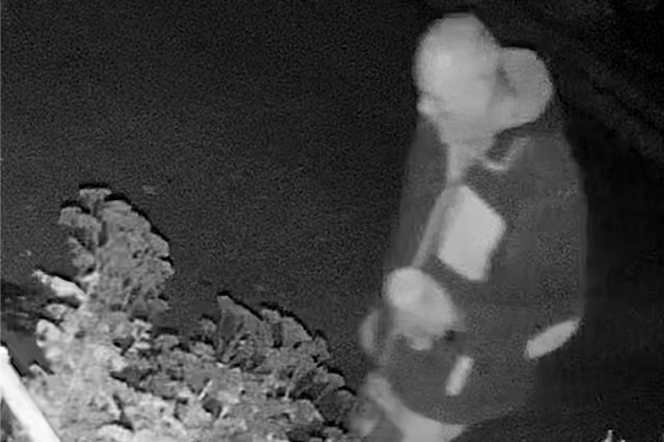 241121-saa-rcmp-windows-broken-suspect