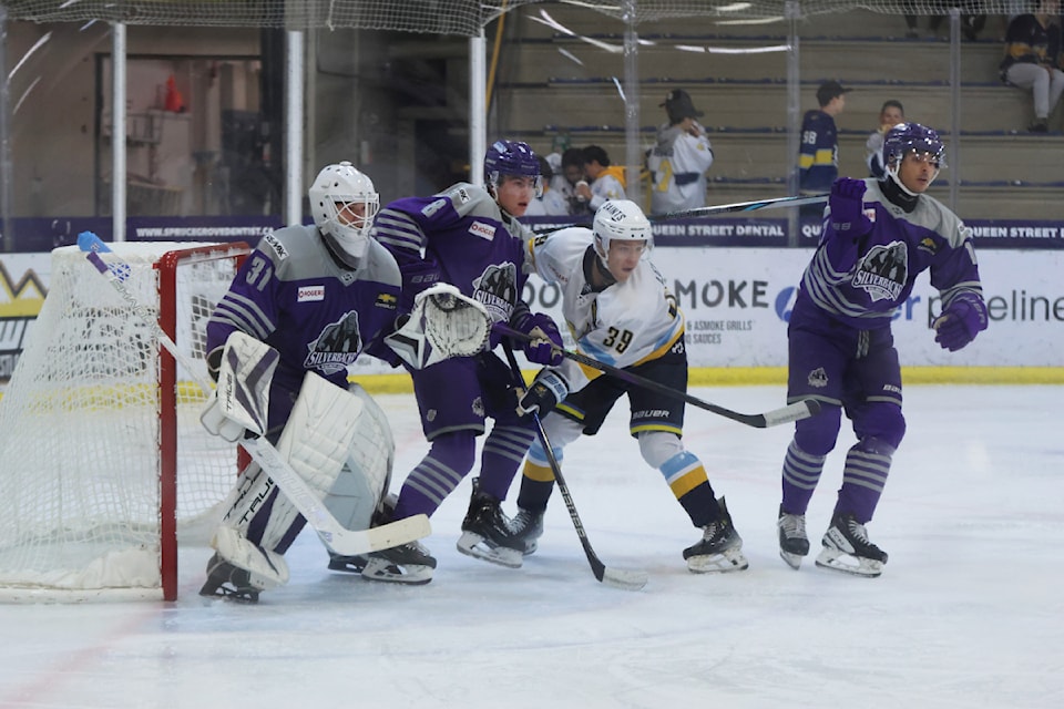 241003-saa-silverbacks-split-games