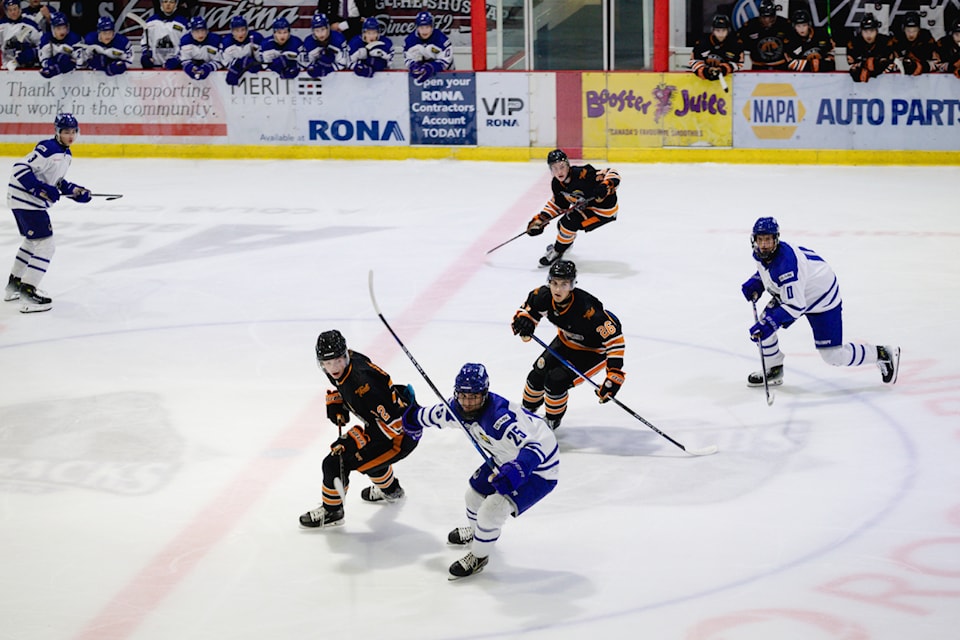 240912-saa-silverbacks-exhibition