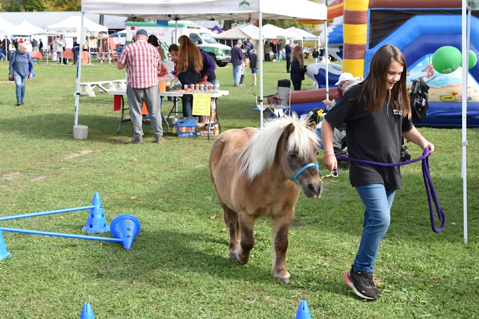 Shuswap 4-H member Addison Connolly leads miniature pony Robert through some appropriately sized hurdles at the Shuswap Family Expo held at the Salmon Arm Fair Grounds on Saturday, Sept. 28.