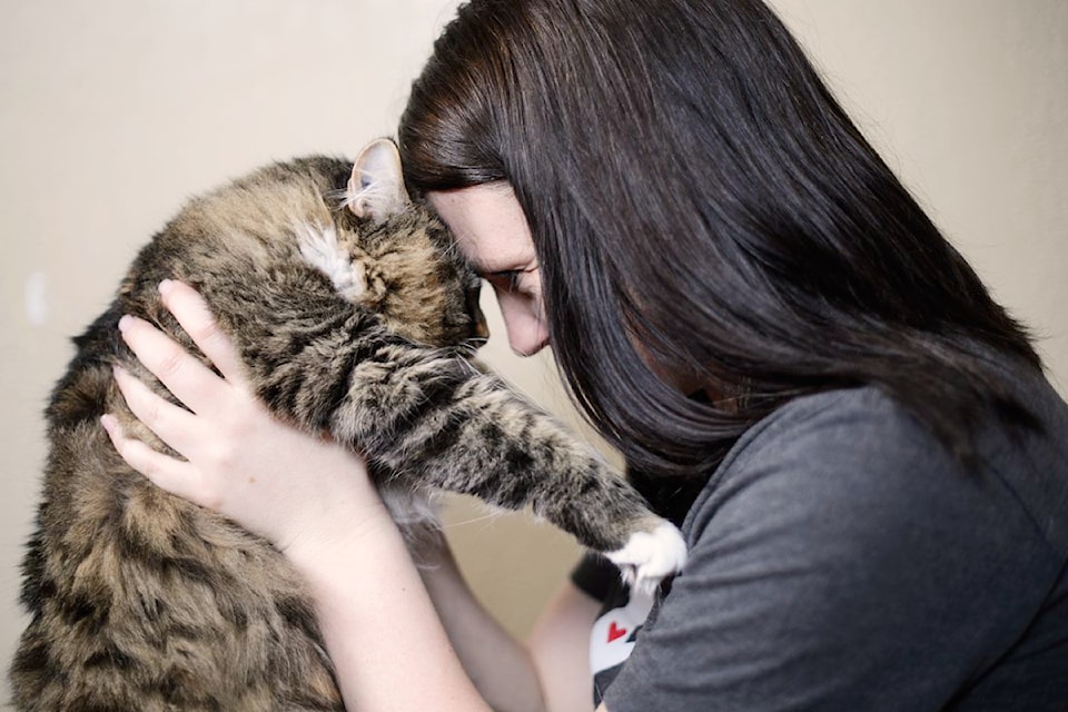 250410-saa-spca-safekeepers-program