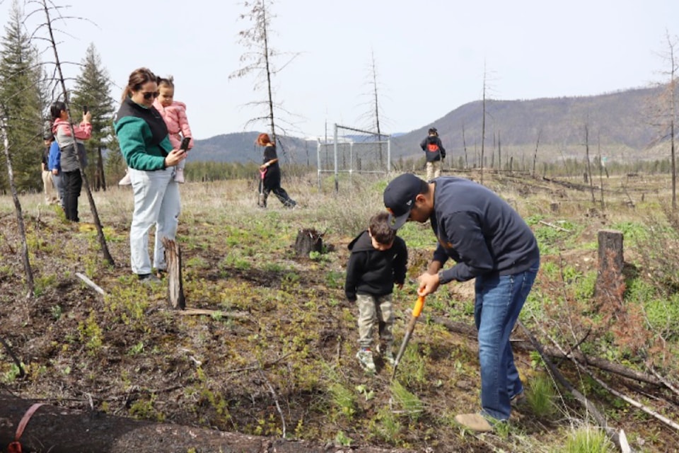 Children and other Skwlāx te Secwepemcúl̓ecw band members planted seedlings Monday, April 17 to replace the trees lost to the 2023 Bush Creek East wildfire.