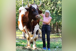 Shuswap animal sanctuary loses financial footing in Facebook purge