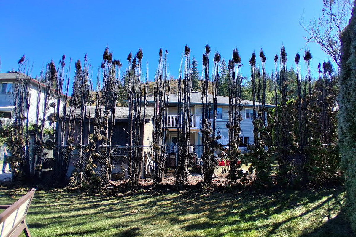 2 people taken to hospital, home damaged from fire in Salmon Arm