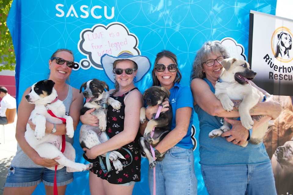 Cindy Goss with Tiffany, Talyse McDonald with Daisy, Erin McGuire with Ocean and Jude Prevost with Tucker, pause for a photo during an event in support of Riverhouse Rescue at Salmon Arm's uptown SASCU branch on Saturday, Aug. 9, 2025. 