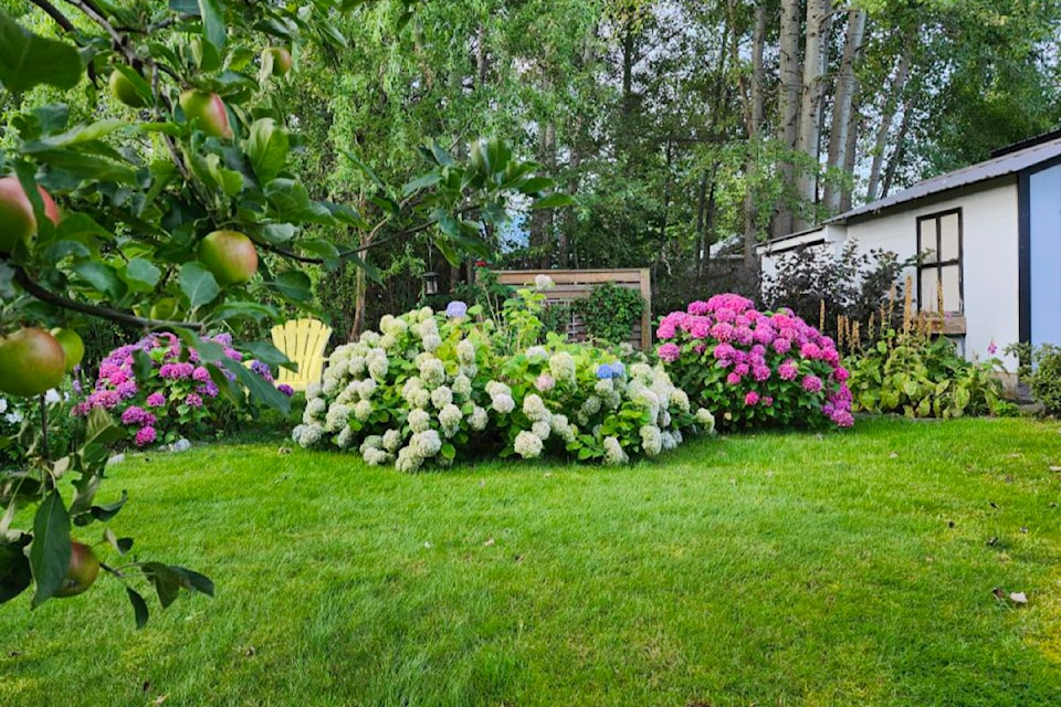250821-saa-sic-garden-contest