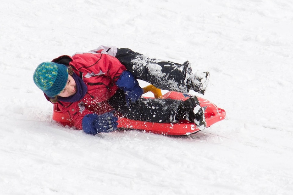 250116-saa-larch-hills-toboggan
