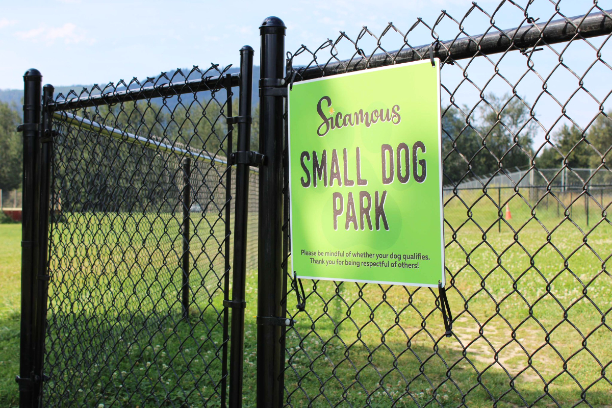 Diminutive dogs now have their own VIP area in Sicamous