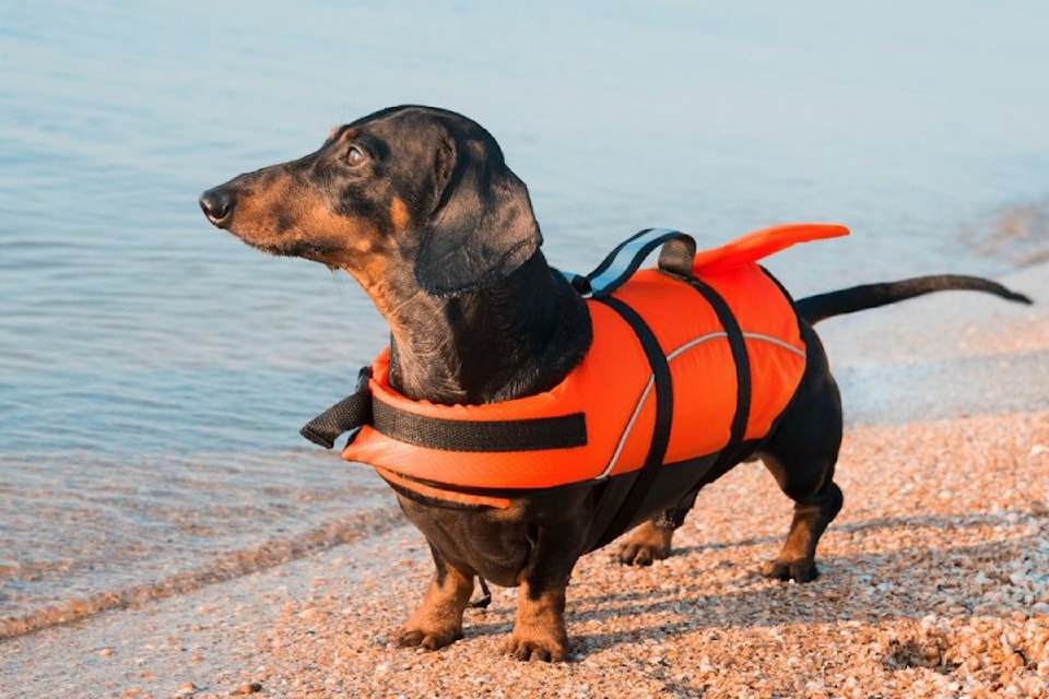 250610-saa-lifejacket-health