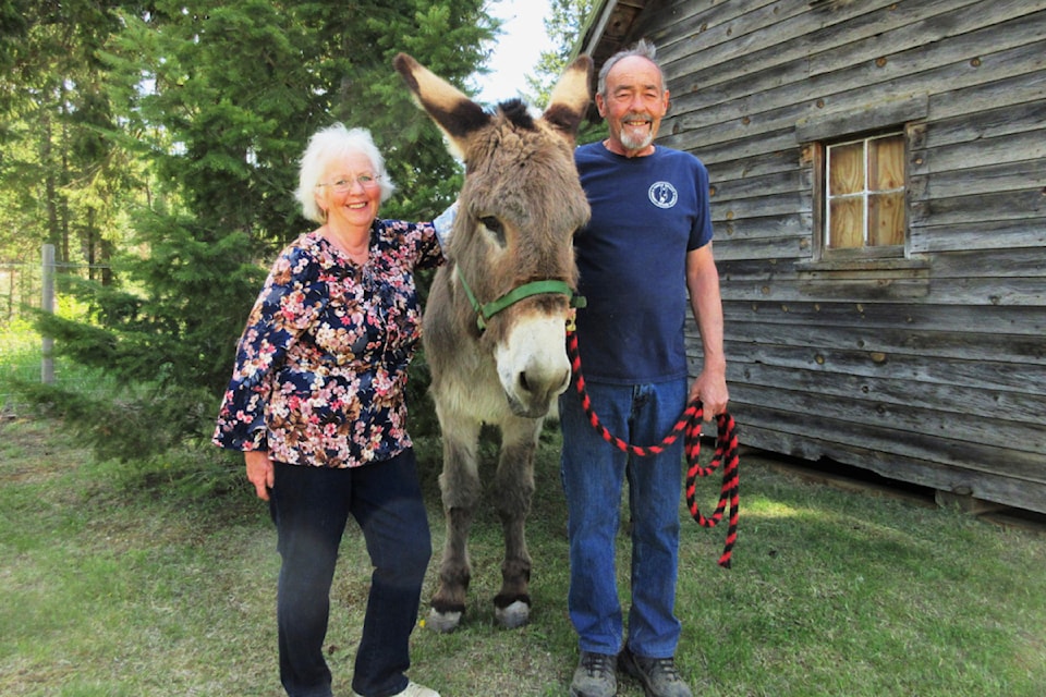 250214-saa-shirley-mainprize-donkey-refuge
