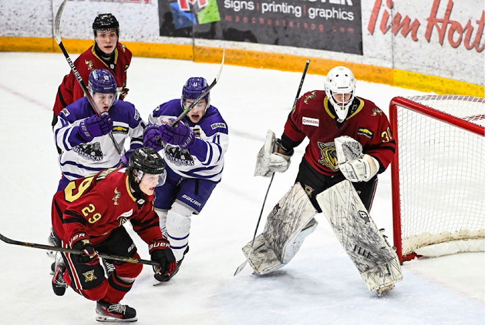 250312-saa-silverbacks-warriors