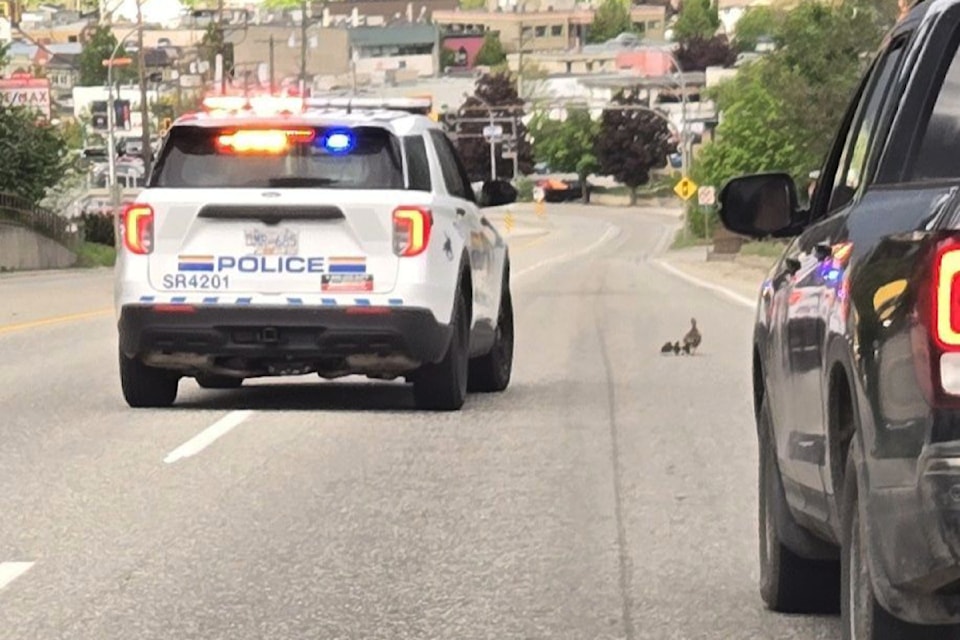 250515-saa-rcmp-duck-escort