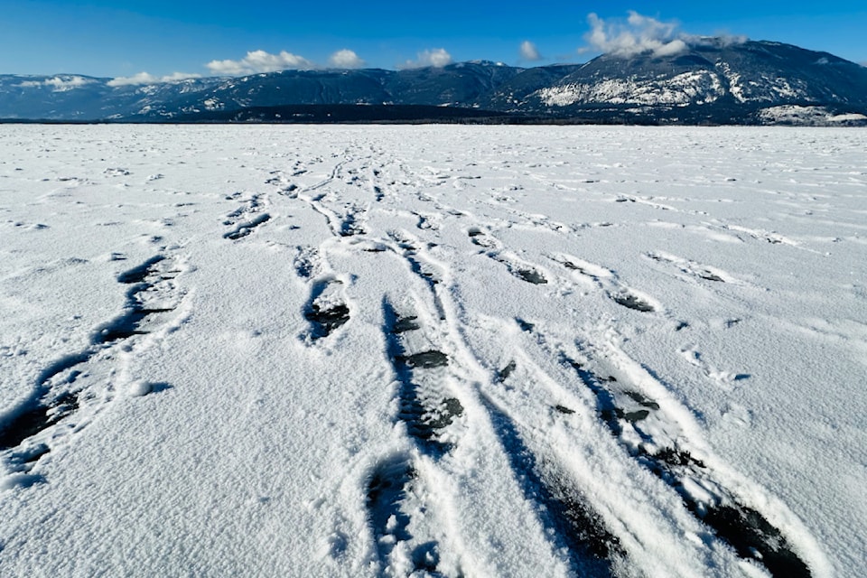 250213-saa-raven-shuswap-lake-ice