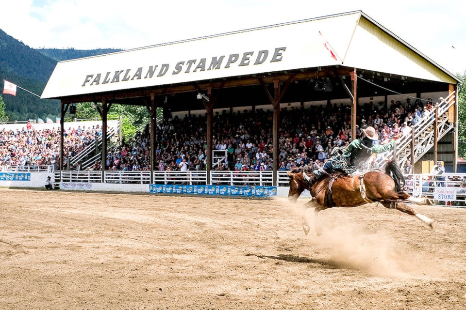 250501-saa-falkland-stampede-grandstand