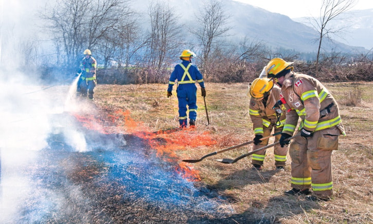 18909salmonarmJMgrassfireoff20thStNW10413col