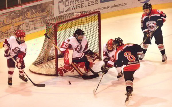 50961salmonarmJMPeeWeehockeytournament21105col
