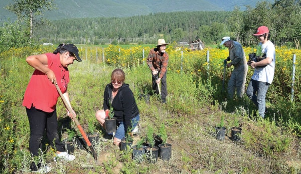 52323salmonarmJMNeskonlithtreeplanting20730col