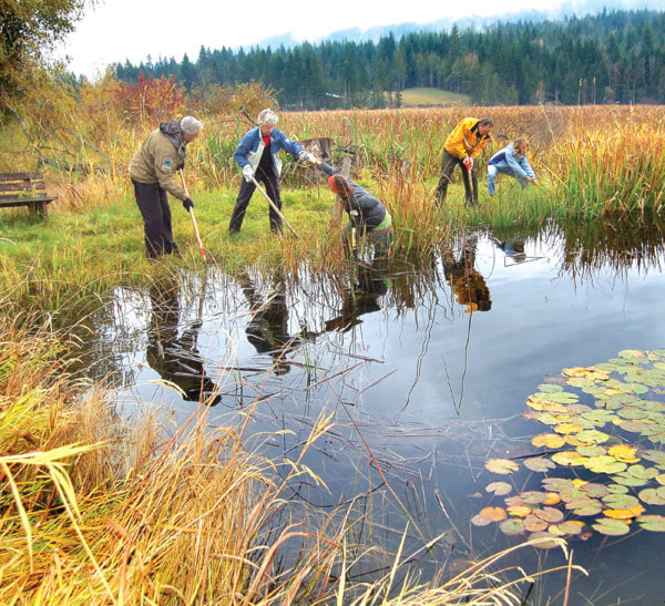 75729salmonarmJMinvasiveplantspeciesatLittleWhiteLake10127col