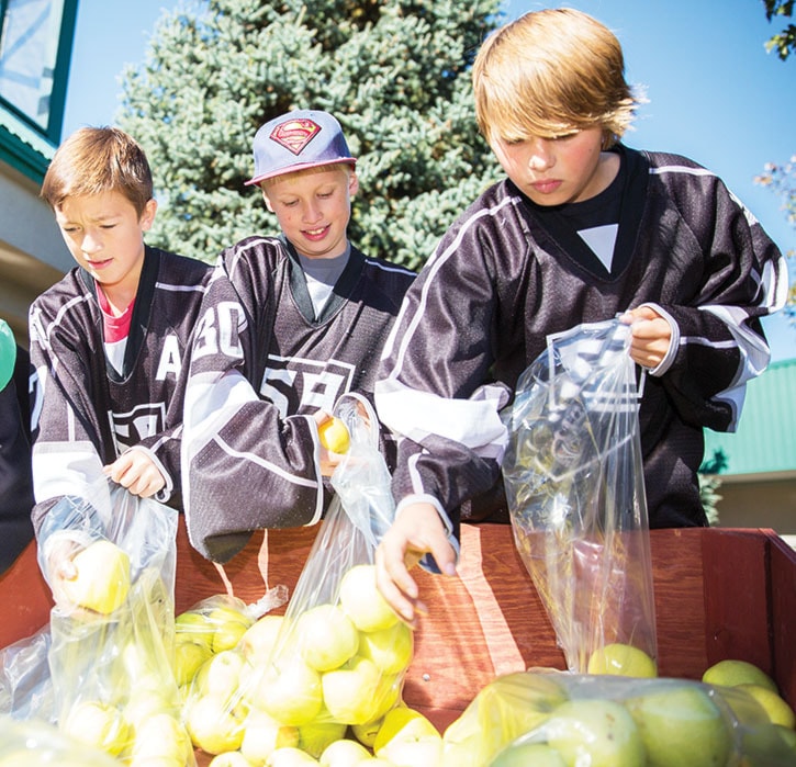 Selling Apples