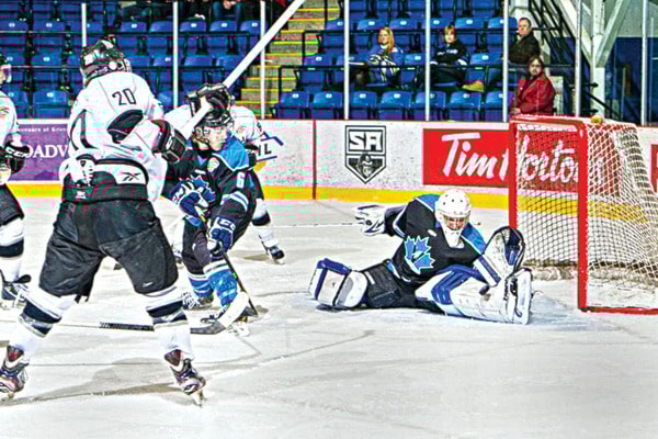 8637salmonarmCFSASilverBacks10320col
