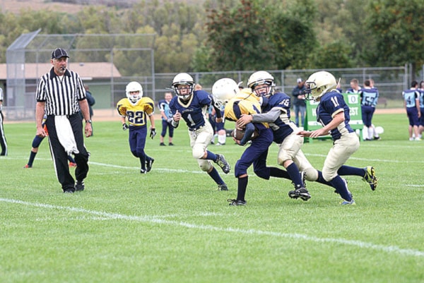 24720salmonarmJSfootballPeeWeeColts10923col