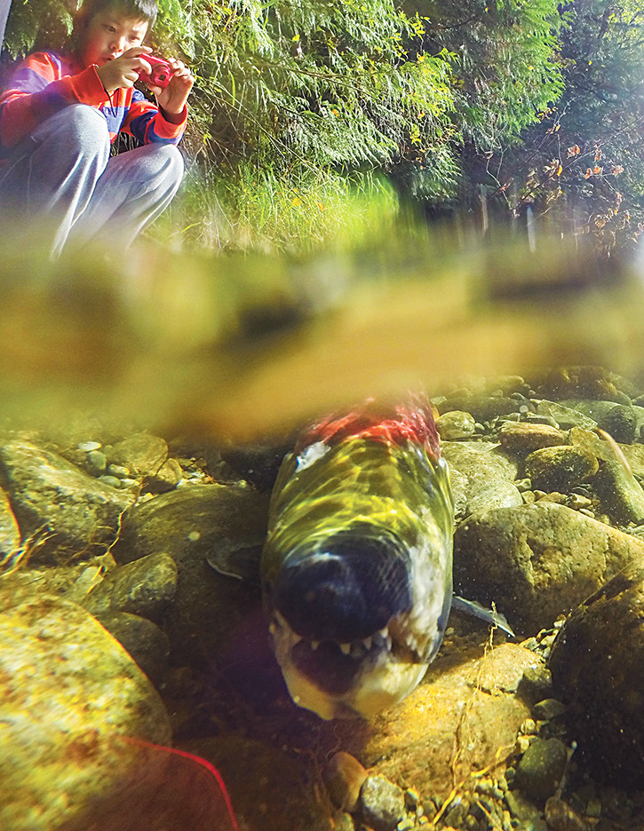 CSRD supports interpretive centre Salmon Arm Observer